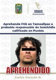 Aprehende FGE en Tamaulipas a probable responsable de homicidio calificado en Puebla