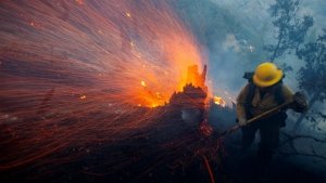 Incendios en Los Ángeles dejan 10 muertos y destruyen más de 10 mil estructuras