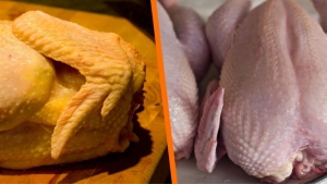 Amarillo o blanco, ¿por qué es diferente el pollo y cuál es más saludable?