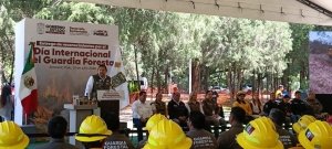 Guardias forestales reducen 57% superficie afectada por incendios