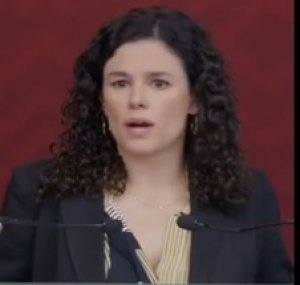 Morena revisar&aacute; perfiles de sus militantes