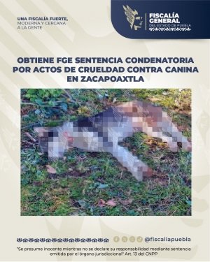 Obtiene FGE sentencia condenatoria por actos de crueldad canina en Zacapoaxtla