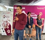 Ayuntamiento atiende 100 denuncias por maltrato animal: Medio Ambiente