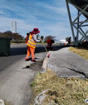 Acciones de limpieza del Gobierno de Pepe Chedraui llegan a Bulevar Municipio Libre