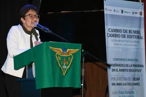 Cada institución debe definir las tareas para combatir el rezago educativo: Lilia Cedillo