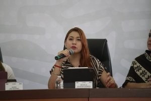 Paseo Bravo será administrado por Convenciones y Parques