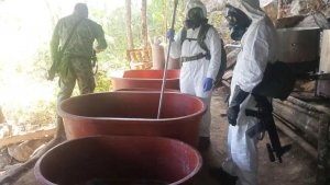 Desmantelan Laboratorio de Drogas en Guerrero; Aseguran M&aacute;s de 2 mil Dosis de Narc&oacute;ticos