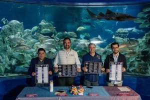 Llega la Noche de Museos de junio con descuentos y promociones
