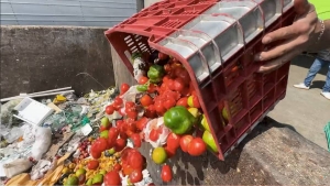 Desperdicio de alimentos en M&eacute;xico: tortillas, carne y leche entre los m&aacute;s afectados