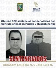 Obtiene FGE sentencias condenatorias por maltrato animal en Puebla y Huauchinango
