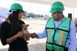 Condena gobierno estatal ataque a una mujer que defend&iacute;a a seres sintientes