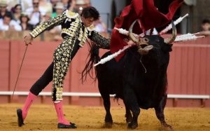 &iquest;Cultura o crueldad? El fin de la era de los privilegios taurinos en el M&eacute;xico de la transformaci&oacute;n