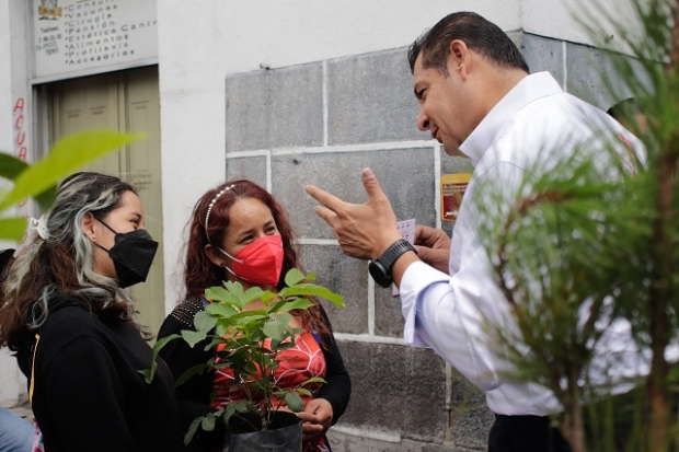 Sigue el senador Alejandro Armenta su campaña de reforestación “Sembremos Esperanza”