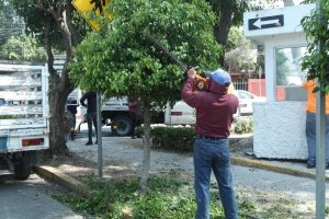 Realiza Gobierno de Pepe Chedraui labores de poda y chapeo en espacios p&uacute;blicos