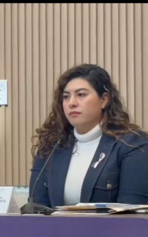Xel Arianna Hern&aacute;ndez respalda Cableb&uacute;s y pide acompa&ntilde;ar proyecto con transparencia