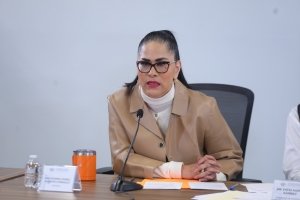 Iniciativas sobre Ley Vicaria, montachoques y robo a cuentahabientes se atender&aacute;n en el 2026