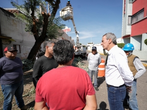 Atiende Chedraui derrumbe de árbol