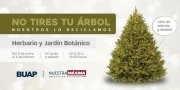 Colecta BUAP &aacute;rboles de Navidad para elaboraci&oacute;n de composta