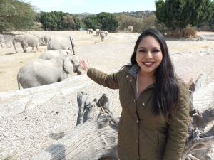 Gobierno de Tonantzin Fern&aacute;ndez encubre el huachigas; ella calla