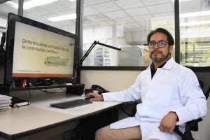 En el Instituto de Fisiolog&iacute;a reside uno de los pocos grupos del pa&iacute;s que estudia la relaci&oacute;n estructura-funci&oacute;n en las c&eacute;lulas cardiacas