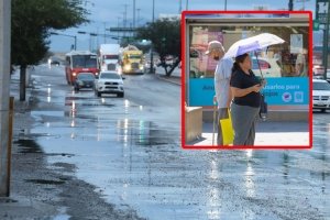 Temperaturas extremas, lluvias y vientos fuertes se esperan en estas regiones, a la espera del nuevo frente frío que traerá heladas severas