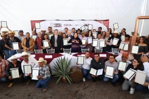Puebla consolida liderazgo nacional en producci&oacute;n de mezcal con 91 medallas