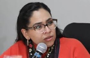 Imposible derogar la Ley de Ciberseguridad; pero el 480 si se reforma