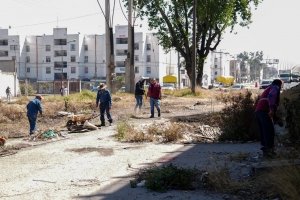 Interviene Gobierno de Pepe Chedraui m&aacute;s de 460 mil metros cuadrados con poda y chapeo en 2026