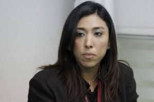 Ley de Transparencia se guiar&aacute; con los ejes rectores nacionales