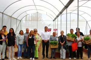 Dona Secretaría de Bienestar municipal lechugas cultivadas en huerto urbano rehabilitado