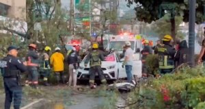 Muere automovilista tras ca&iacute;da de &aacute;rbol durante tormenta