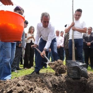 Con 3 mil &aacute;rboles en Ecocampus 2, avanza estrategia de reforestaci&oacute;n en Puebla