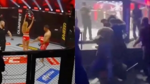 VIDEO: Chica del ring fue pateada por Ali Heibati, luchador iraní de MMA; el público se le fue encima