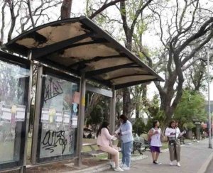A finales de agosto se tendrá dictamen para Paraderos de Autobuses