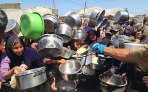 Más de 100 ONG reclaman a todos los países que &quot;exijan un alto el fuego inmediato y permanente&quot; en Gaza