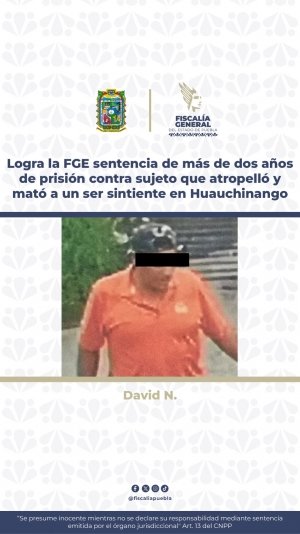 Logra la FGE sentencia de más de dos años de prisión contra sujeto que atropelló y mató a un ser sintiente en Huauchinango.