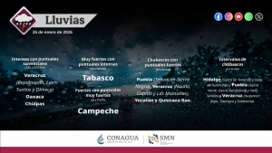 Lluvias puntuales intensas a torrenciales en Veracruz, Tabasco, Oaxaca y Chiapas, adem&aacute;s de evento de "Norte" muy fuerte a intenso en el Litoral del Golfo de M&eacute;xico, la Pen&iacute;nsula de Yucat&aacute;n, Istmo y Golfo de Tehuantepec