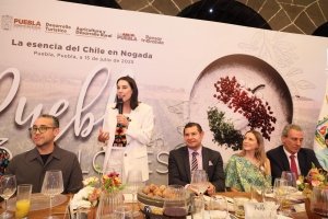 &quot;Chile en Nogada, símbolo de identidad y creatividad culinaria&quot;: Josefina Rodríguez