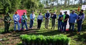 Ayuntamiento de Puebla planta más de 76 mil árboles