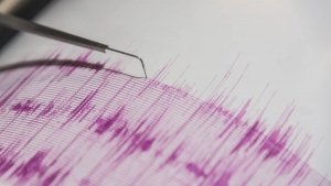 Se registra sismo en Guerrero de 4.8 y se percibe en CDMX