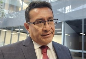 Congreso exige filtros para sacar a perfiles ligados al delito de las boletas
