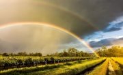 ¿Cómo estará el clima en Puebla de Zaragoza?