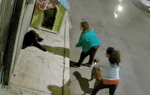 Mujer ordena a su perro atacar a perros de la calle en Iztapalapa