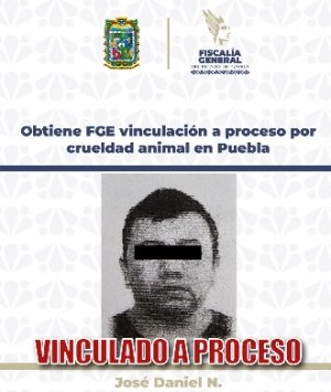 Obtiene FGE vinculaci&oacute;n a proceso por crueldad animal en Puebla