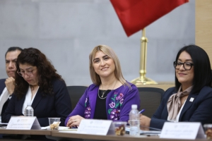 Mujeres, eje prioritario de la procuraci&oacute;n de justicia en Puebla Idamis Pastor