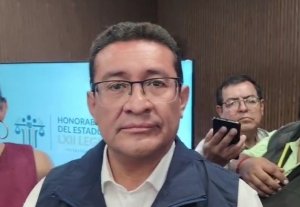 Artemisa es libre de regresar como diputada: P&aacute;vel Gaspar
