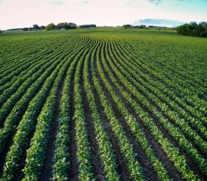 Estados Unidos en crisis por deportaciones masivas NO hay trabajadores para la agricultura