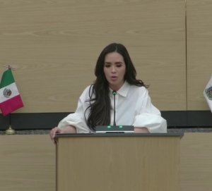 Propone diputada reforzar operativos contra comercio il&iacute;cito en mercados y tianguis