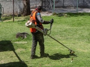 Mantiene Pepe Chedraui poda y chapeo en parques y &aacute;reas verdes*