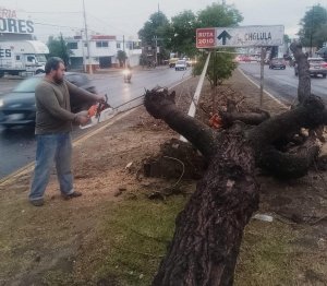 Atiende Gobierno de la Ciudad reportes en distintas zonas por lluvias